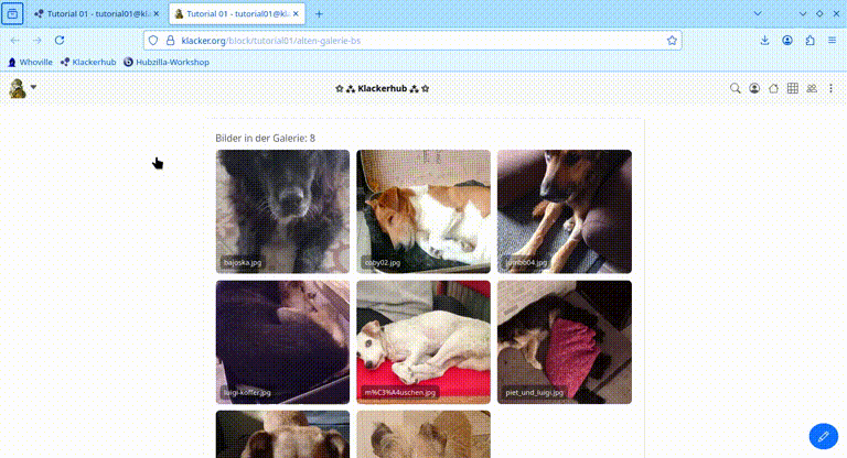 Darstellung des erweiterten Galerie-Blocks