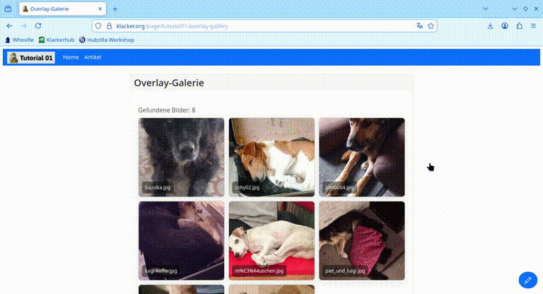Galerie mit Overlay-Carousel